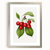 Realistic Cherry Illustration Art Print | Classic Botanical Wall Decor