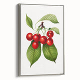 Realistic Cherry Illustration Art Print | Classic Botanical Wall Decor