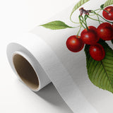 Realistic Cherry Illustration Art Print | Classic Botanical Wall Decor