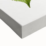 Realistic Cherry Illustration Art Print | Classic Botanical Wall Decor