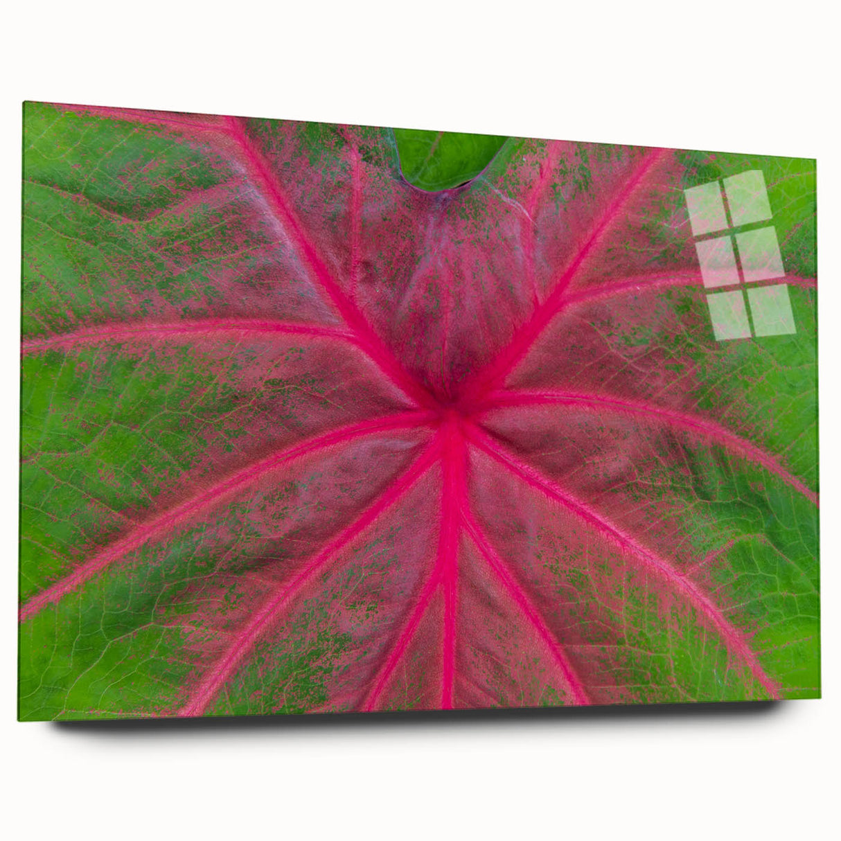 Large abstract wall art depicting a Yucatan scenery in vibrant green and blue tones, acrylic print.
