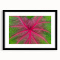 Abstract art print of Yucatan scenery in vibrant colors on a textured, extra large canvas, framed in black.