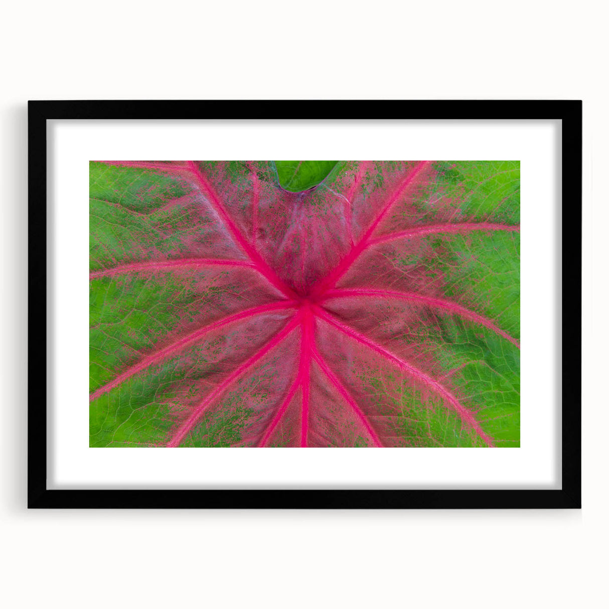 Abstract art print of Yucatan scenery in vibrant colors on a textured, extra large canvas, framed in black.