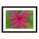 Abstract art print of Yucatan scenery in vibrant colors on a textured, extra large canvas, framed in black.