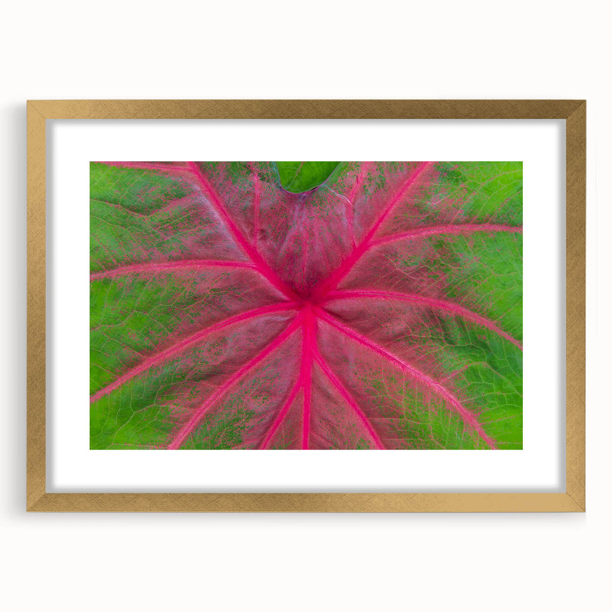 Extra large framed abstract art print featuring textured scenery of Yucatán in gold tones, ideal for living room decor.