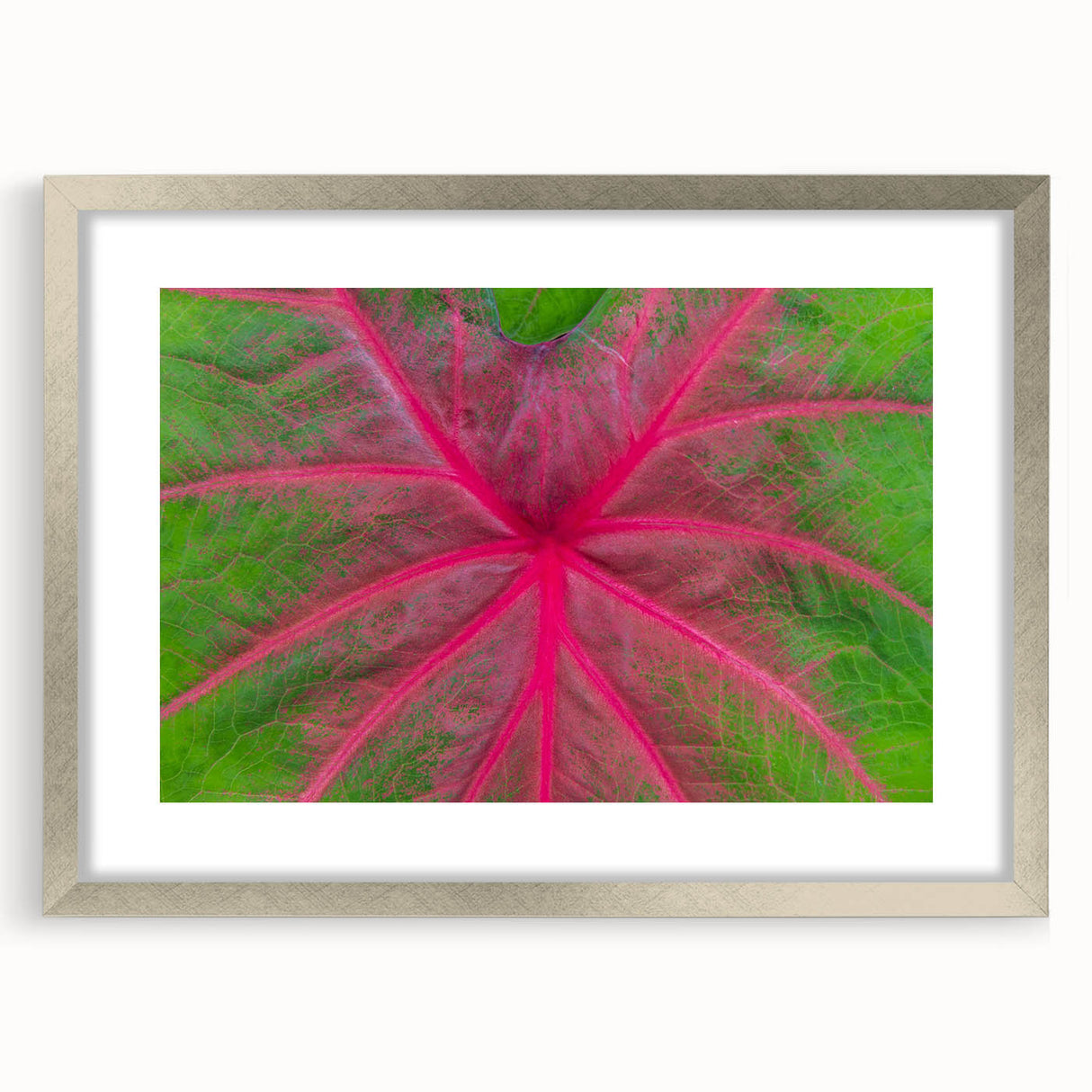 Abstract art print of Yucatan scenery featuring muted earth tones on a framed silver mat.