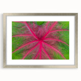 Abstract art print of Yucatan scenery featuring muted earth tones on a framed silver mat.