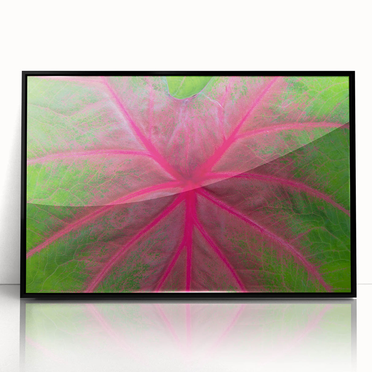 Large abstract wall art of Yucatan scenery in muted earth tones on framed acrylic, suitable for modern living room decor.