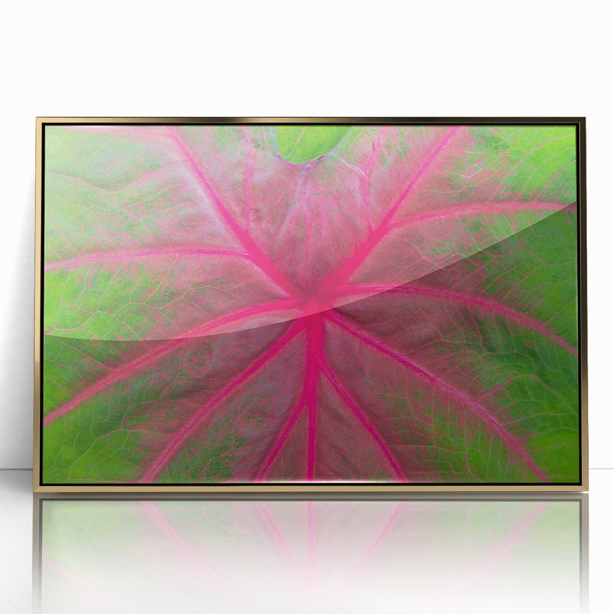 Mid-century modernist acrylic print of a Yucatan landscape in gold frame, suitable for modern art wall decor.