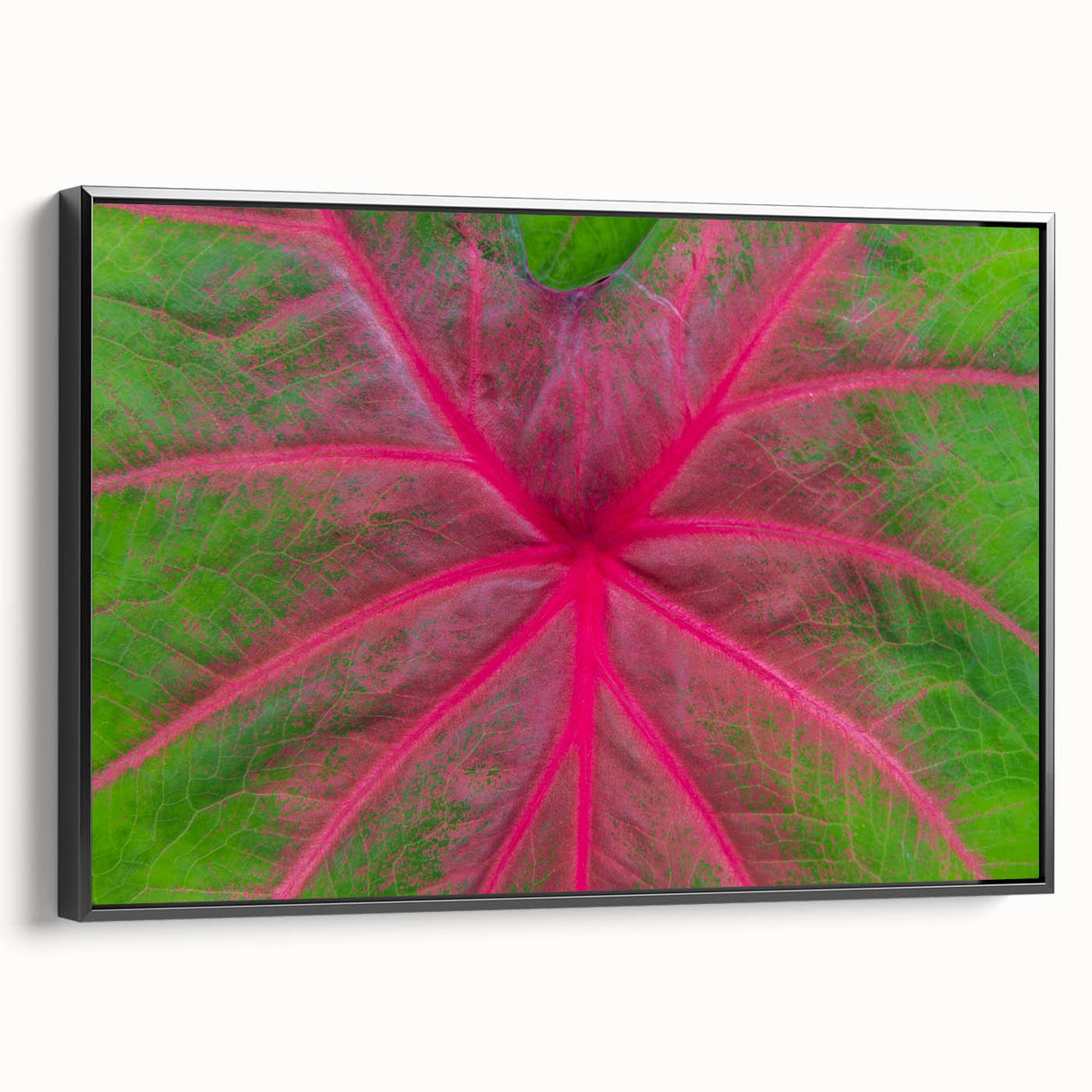Black and white landscape art painting of Yucatan, framed canvas, ideal for bedroom wall decor.