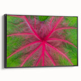 Black and white landscape art painting of Yucatan, framed canvas, ideal for bedroom wall decor.