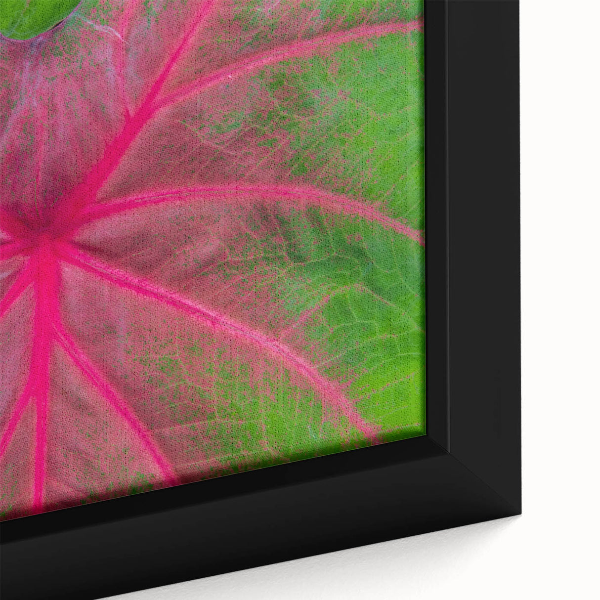 Framed canvas of a textured black wall art depicting Yucatan scenery, with colorful accents, ideal for living room decor.