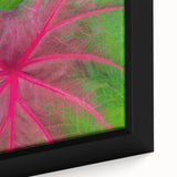 Framed canvas of a textured black wall art depicting Yucatan scenery, with colorful accents, ideal for living room decor.