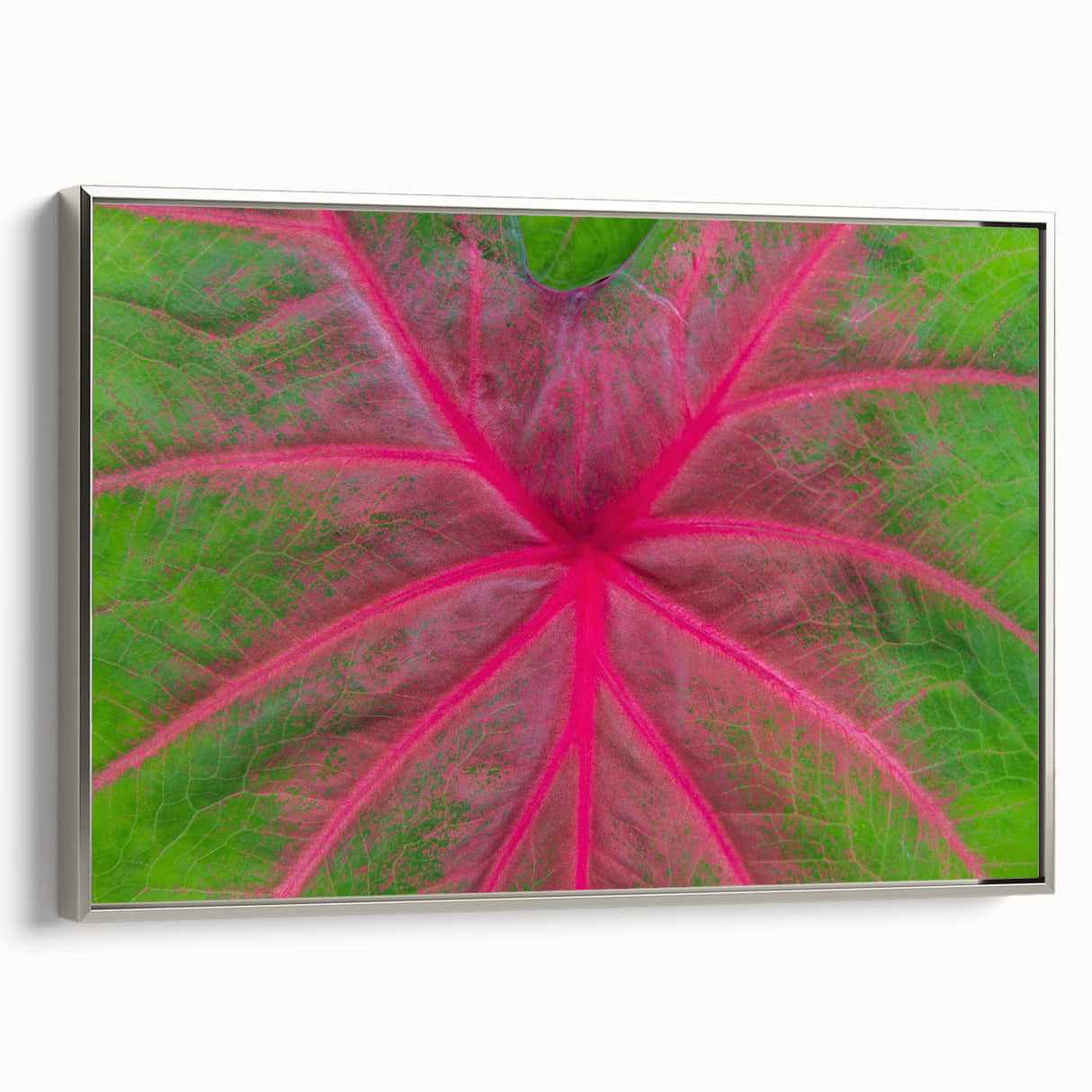 Framed canvas landscape art painting of Yucatán, Mexico, featuring vibrant colors on a black background.