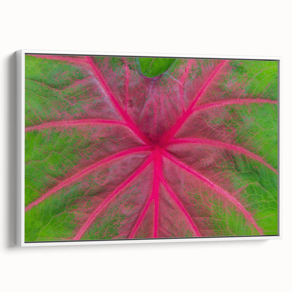 Vintage poster art of Yucatan, Mexico on a framed canvas, featuring vibrant colors against a black background.