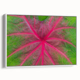 Vintage poster art of Yucatan, Mexico on a framed canvas, featuring vibrant colors against a black background.