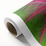 Art deco poster of Yucatan scenery on rolled canvas, featuring vibrant green and blue tones, ideal for nursery wall art.