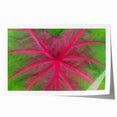 Extra large rolled print of Yucatan scenery with vibrant floral elements on a muted background.