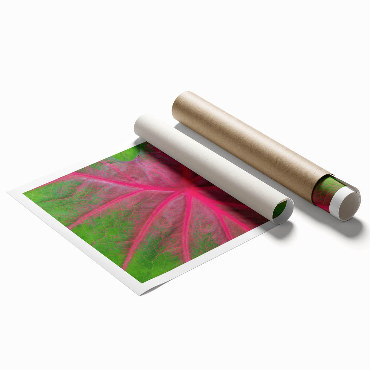 Extra large rolled print of Yucatán scenery with vibrant floral elements, ideal for classy bathroom wall art.