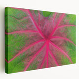 Large stretched canvas featuring a serene Yucatan landscape in soft green and blue tones, ideal for kitchen wall art.