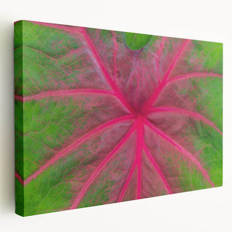 Large stretched canvas featuring a serene Yucatan landscape in soft green and blue tones, ideal for kitchen wall art.