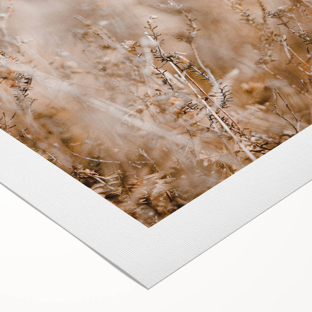 Art deco poster featuring an autumnal forest scene on rolled canvas, suitable for dining room or bathroom wall art.