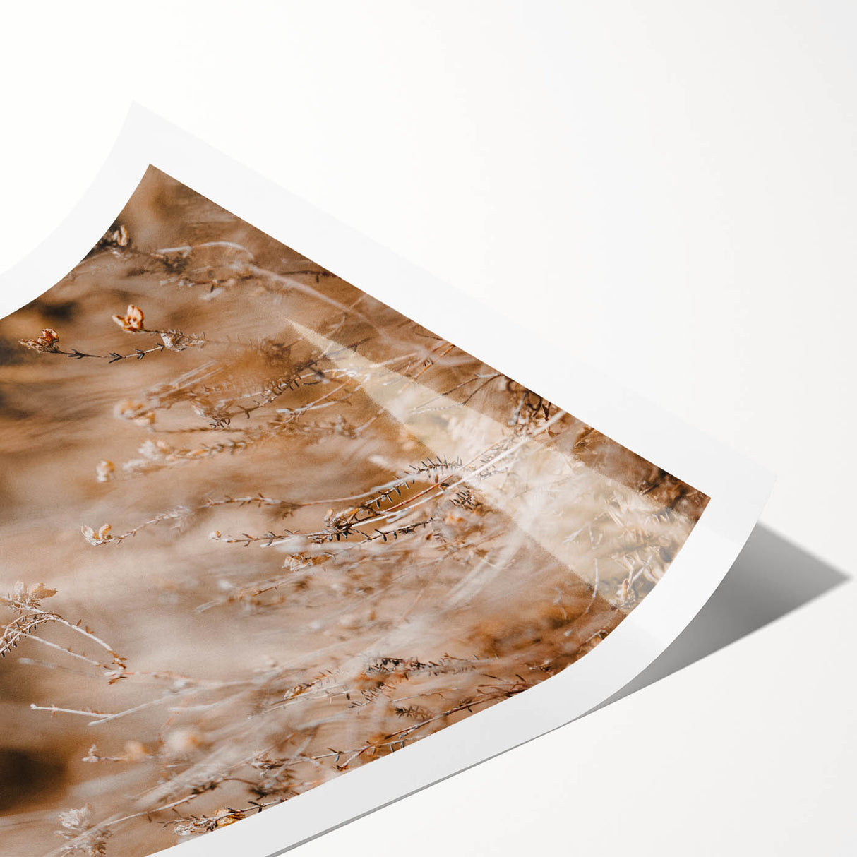Extra large rolled canvas featuring line art flowers in autumn hues, suitable for large living room wall art.