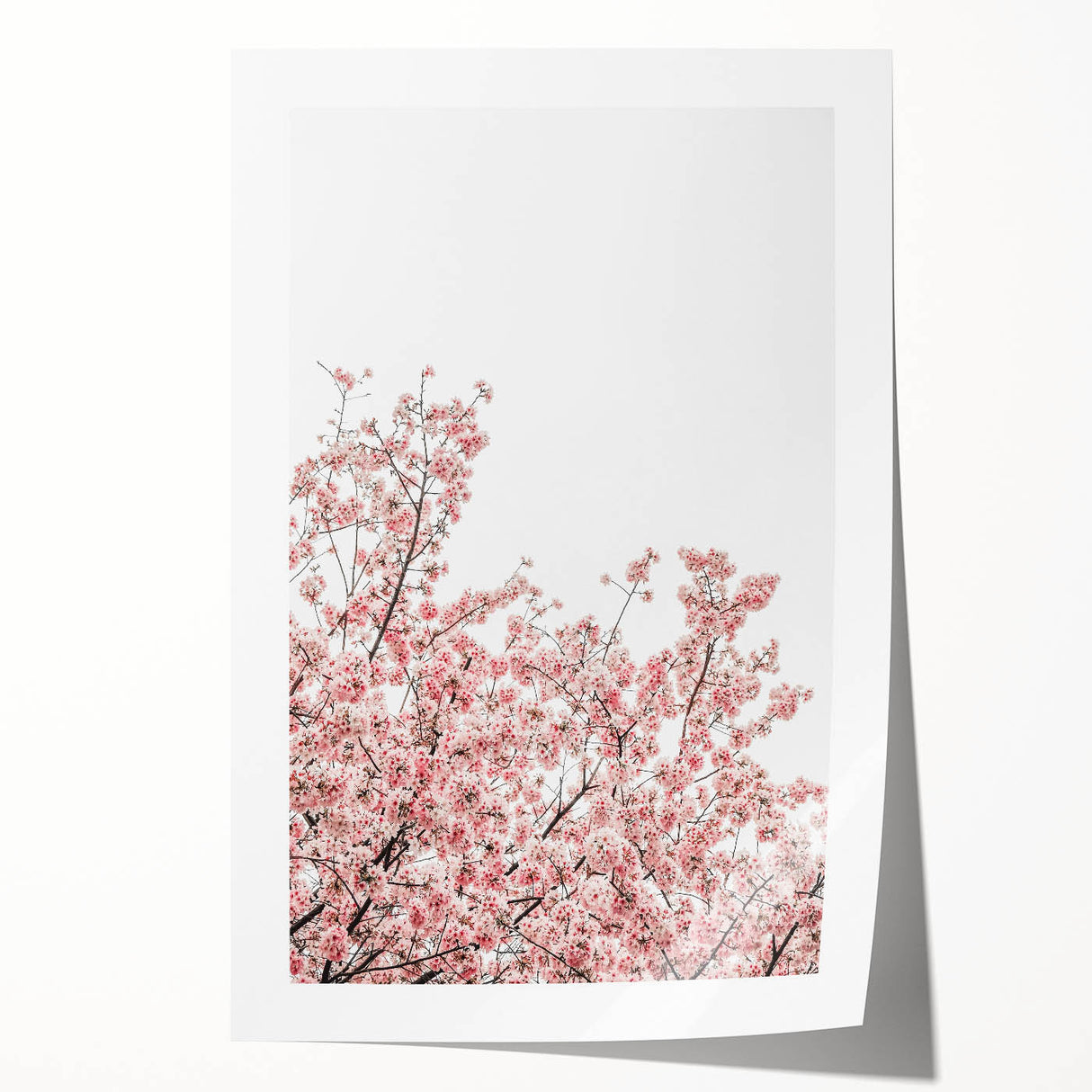 Rolled print of spring-themed floral art in pastel shades.