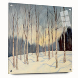 Tranquil Winter Birch Forest Wall Art - Canvas & Framed Print