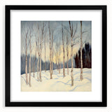 Tranquil Winter Birch Forest Wall Art - Canvas & Framed Print