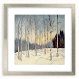 Tranquil Winter Birch Forest Wall Art - Canvas & Framed Print