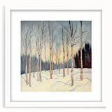 Tranquil Winter Birch Forest Wall Art - Canvas & Framed Print