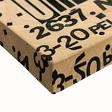 Joan Jett Retro Poster Art - Urban Noize Concert 1985