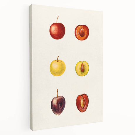 Large canvas print featuring an array of colorful fruits, ideal for kitchen wall art.
