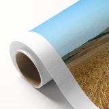 Rolled canvas artwork depicting a serene countryside landscape with lush greenery and a vibrant sky, elegantly packaged in a protective cardboard tube for safe transport.