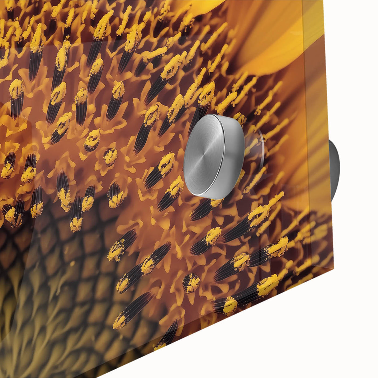 Large abstract floral print in vibrant colors on acrylic glass, ideal for dining room art in a mid-century modernist style.