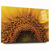 Large abstract wall art featuring close-up floral designs in vibrant colors on acrylic glass.