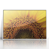 Framed acrylic print of close-up floral designs in soft pastel shades, suitable for nursery wall art.