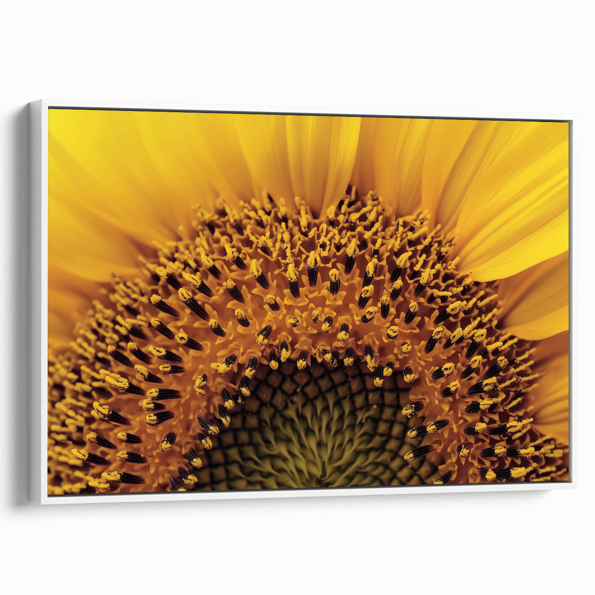 Vintage poster art of colorful florals on a black background, framed canvas, ideal for living room decor.