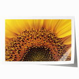 Close-up floral art on a rolled print featuring vibrant pink and green tones, suitable for dining room or bathroom decor.