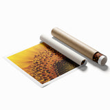 Extra large rolled print featuring close-up floral art in vibrant colors.