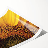 Extra large wall art featuring line art flowers in black and white on a rolled canvas, suitable for large living room decor.