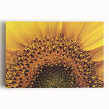 Black and white close-up floral image on large stretched canvas, ideal for kitchen wall art.