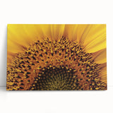 Black and white floral close-up on a large stretched canvas, ideal for kitchen wall art or bedroom decor.