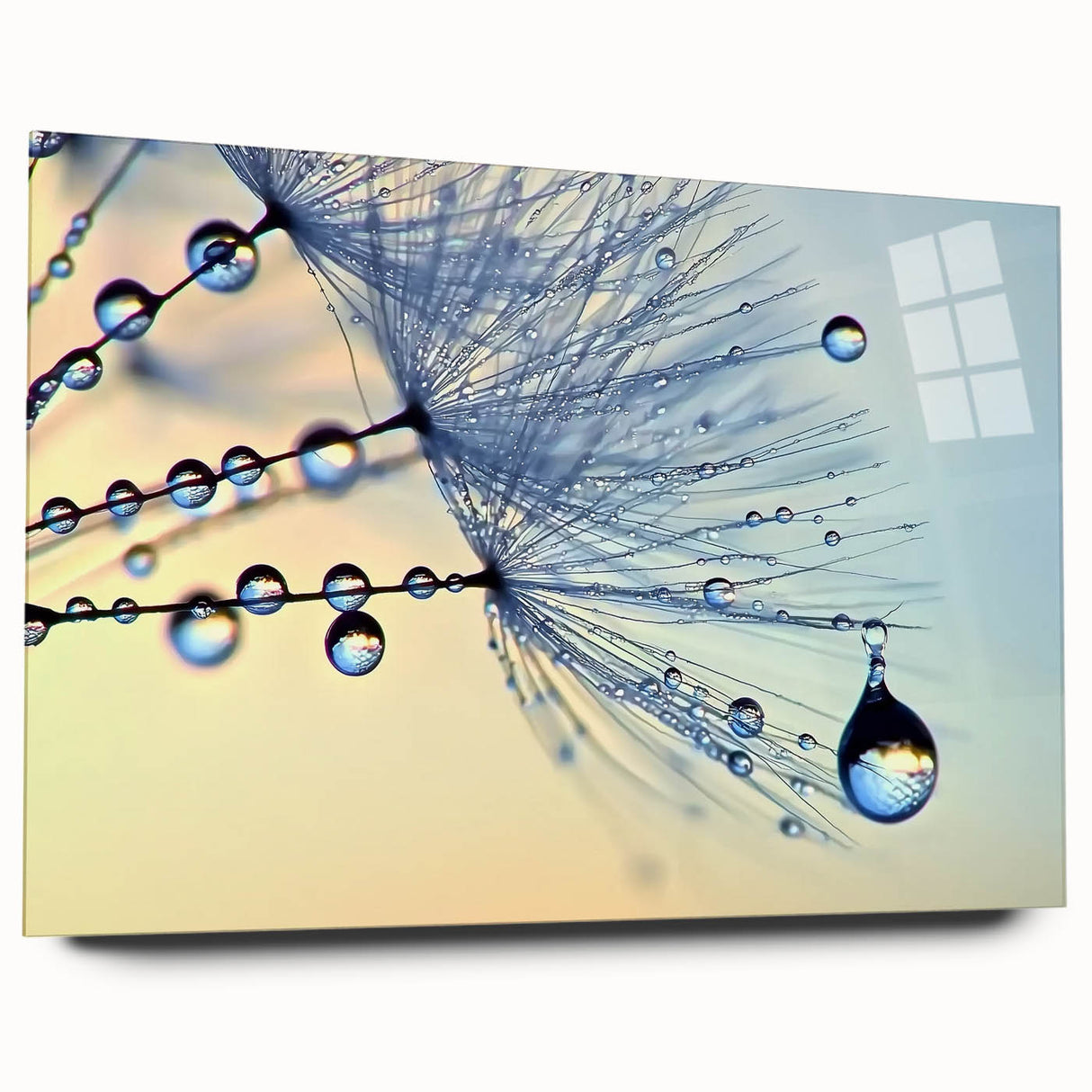 Large abstract wall art featuring close-up water details in blue and green tones on acrylic glass.