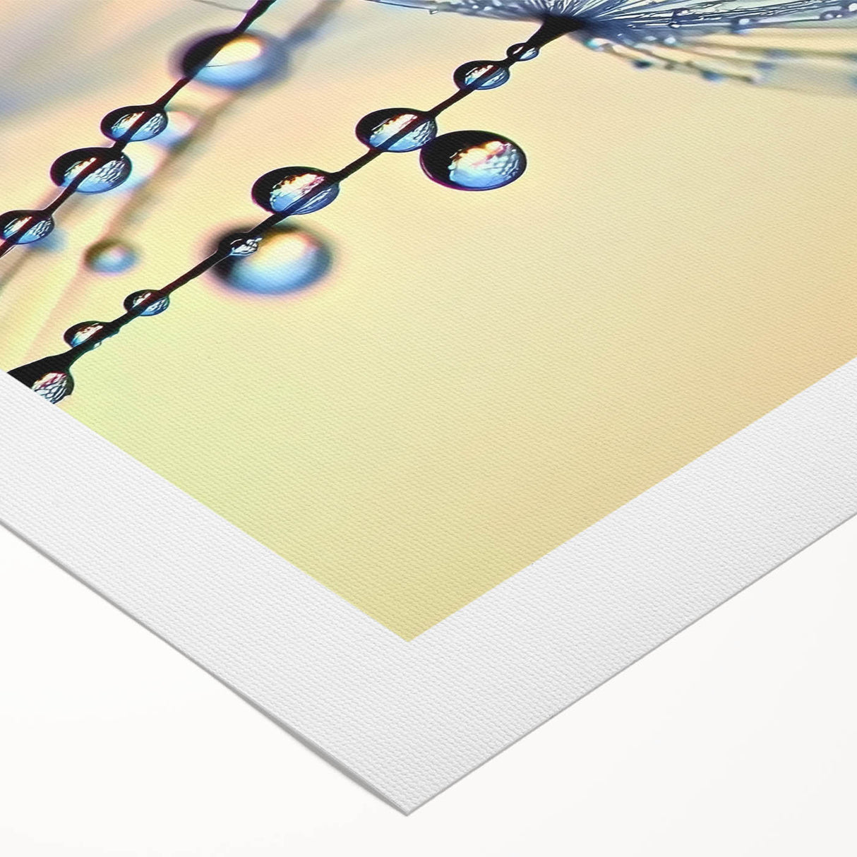 Art deco poster featuring a close-up of water droplets on a leaf, in shades of green and blue, printed on rolled canvas.