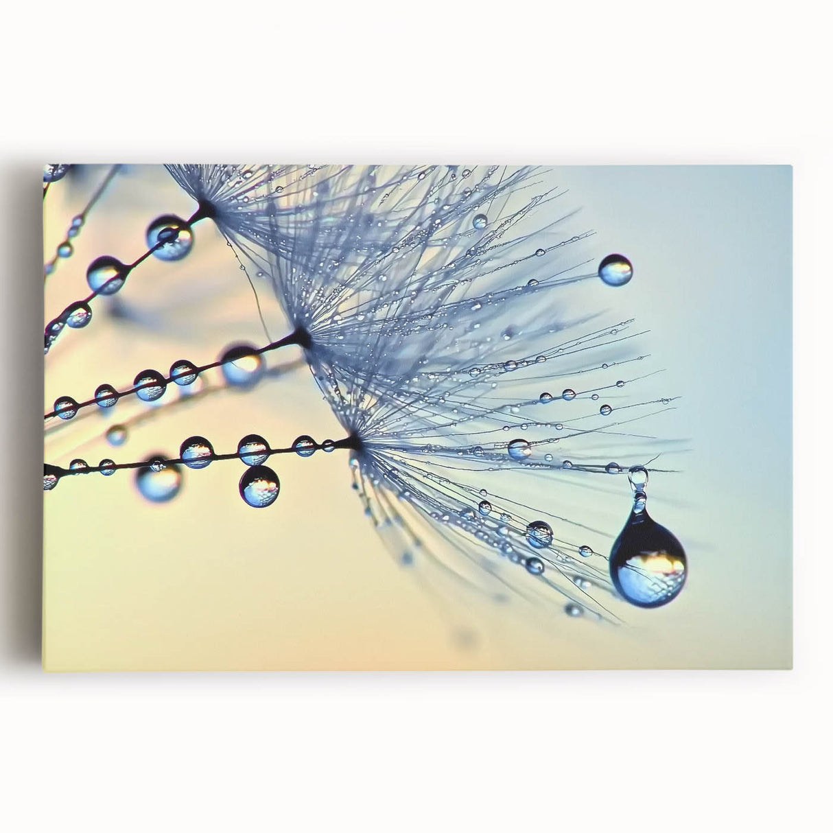 Black and white close-up photo of water droplets on a leaf, printed on large stretched canvas, ideal for kitchen wall art.