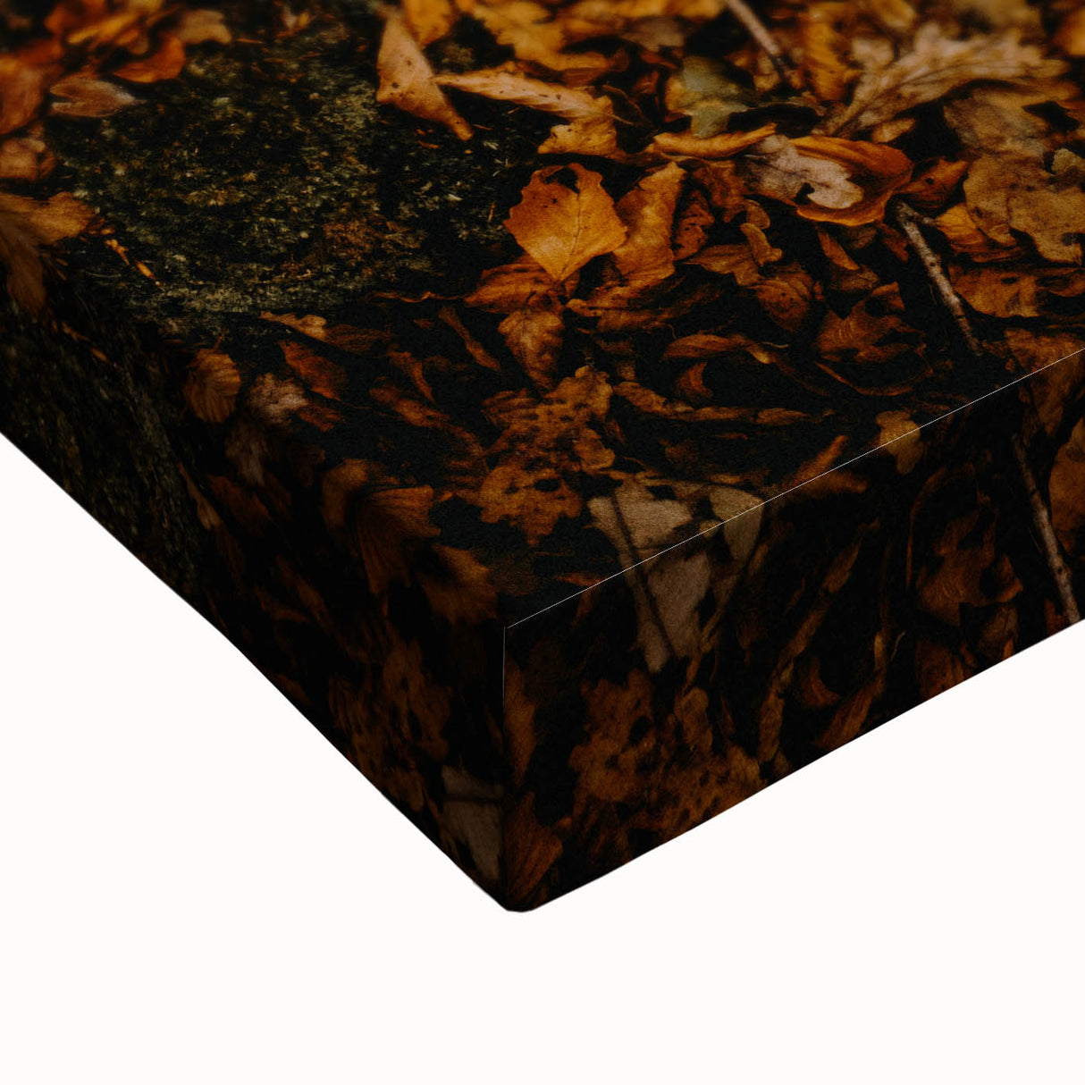Large art canvas featuring a black and white landscape painting of fall trees, ideal for bedroom wall decor.