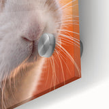 Large abstract wall art on acrylic glass featuring spring-themed colors and mid-century modernist style.