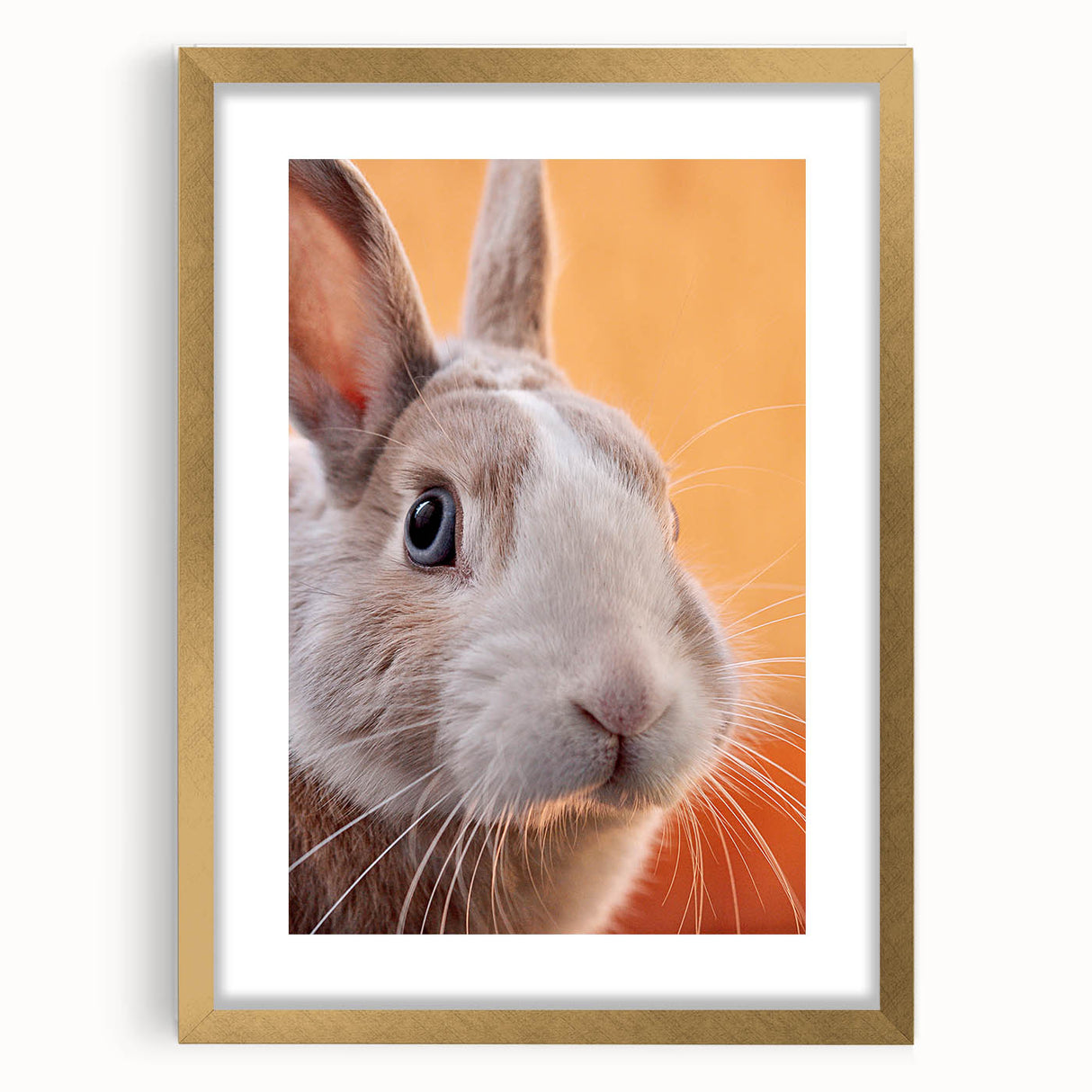 Extra large abstract art print with textured brush strokes in vibrant spring hues, framed in gold.